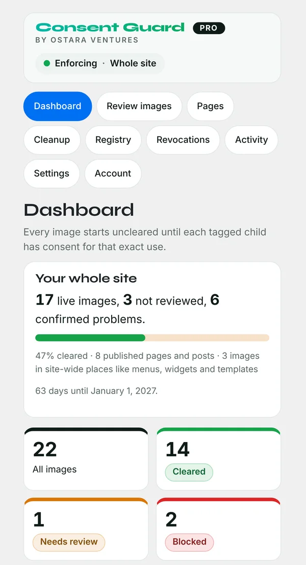 Consent Guard dashboard on a phone